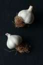 Garlic, organic natural garlic on a black background