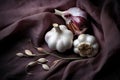 Garlic organic vegetable fruit ingredient healthy fresh food bulb background spice Royalty Free Stock Photo