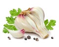 Garlic parsley pepper. Isolated vector