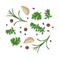 Garlic, Parsley and Rosemary Potherb as Wok Asian Food Ingredient Vector Illustration