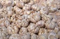 Garlic pile texture background. Fresh garlic on market / Spicy cooking ingredient garlic for thai food Royalty Free Stock Photo