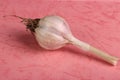 Garlic on pink background food concept Royalty Free Stock Photo