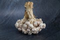 Garlic is placed the black table in the kitchen, preparing for cooking Royalty Free Stock Photo