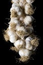 Garlic plait Royalty Free Stock Photo