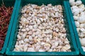 Garlic in Plastic Box Royalty Free Stock Photo