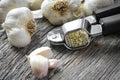 Garlic Press and Garlic Bulb Close Up