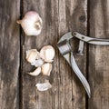Garlic and presser Royalty Free Stock Photo