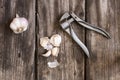Garlic and presser Royalty Free Stock Photo