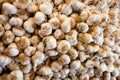 Garlic ready for market day Royalty Free Stock Photo