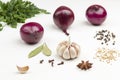 Garlic, red onion and spices on white background. Healthy eating for colds