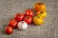 Garlic, red tomatoes on a napkin of burlap Royalty Free Stock Photo