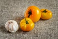 Garlic, red tomatoes on a napkin of burlap Royalty Free Stock Photo