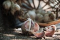Garlic in a rustic basket