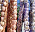 Garlic sale at a farmers market