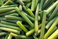 Garlic scape stems Royalty Free Stock Photo