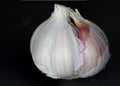 Garlic several times and produced the highest possible depth of field with Focus Stacking