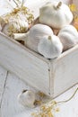 Garlic in a shabby wooden box