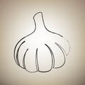 Garlic simple sign. Vector. Brush drawed black icon at light bro
