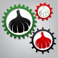 Garlic simple sign. Vector. Three connected gears with icons at