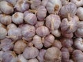 Garlic, softneck garlic, hardneck garlic, softneck garlic, rocambole, top-setting garlic or serpent garlic