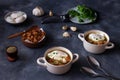 Garlic soup with egg and roasted bread Royalty Free Stock Photo