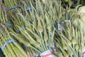 Garlic Spears and Asparagus Bundles Closeup