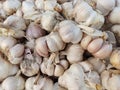 Garlic or lehsan is very common and famous vegetable used in dishes in india and pakistan