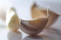 Three purple garlic cloves in natural light Royalty Free Stock Photo