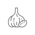 Garlic, spice line icon.