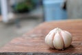 Garlic is a spice mixed with food to reduce the fishy smell of meat and is also an herb.