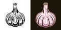 Garlic spice product vector colored illustration in two styles black on white and colored on dark background