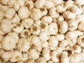 Garlic healthy food vitamin spice seasoning flavoring flavouring condiment