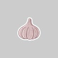 Garlic spice vegetable icon vector 