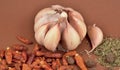 Garlic Cloves and Bulb stock images