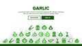 Garlic Spicy Vegetable Landing Header Vector