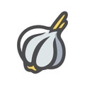 Garlic Spicy Vegetable Vector icon Cartoon illustration