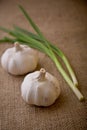 Garlic and spring onions Royalty Free Stock Photo