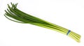 Garlic stem