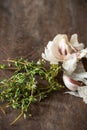 Garlic & Thyme food ingredients on wooden chopping board