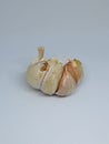 Garlic that is about to be peeled and has just been harvested Royalty Free Stock Photo