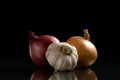 Garlic and two onions on a black background Royalty Free Stock Photo