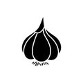 Garlic vegetable vector icon solid black. EPS 10.. Spice line flat illustration. Farm market product. Vegetarian food... Fresh