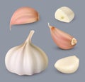 Garlic. Vegetables realistic set with garlic pieces peeled decent vector collection