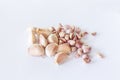 Garlic on white background detail art