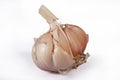 GarlicBreak off the garlic