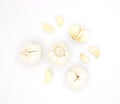 Garlic on white background. Head and clove of fresh garlic. Aromatic and healthy ingredient for soup or meat dish