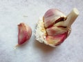 Garlic on white background