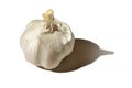 Garlic Royalty Free Stock Photo