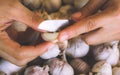 Garlic.Woman hands peeling garlic preparation for cooking in the kitchen on fresh garlic Background.