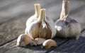 Garlic with wooden backgrounds